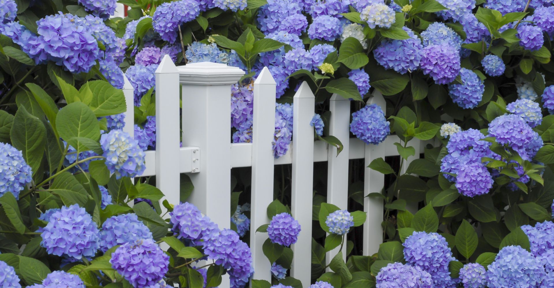 ways to decorate your white vinyl fence hero